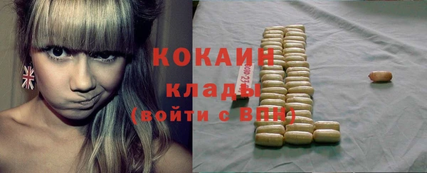 стаф Алзамай