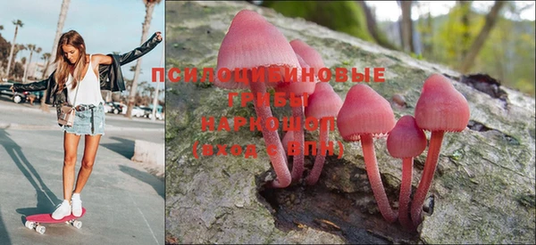 синтетический гашиш Алексин