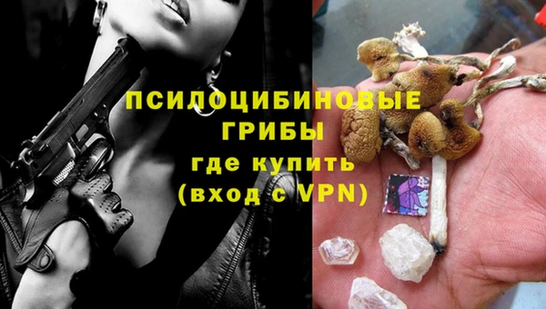 ГАЛЛЮЦИНОГЕННЫЕ ГРИБЫ Козельск