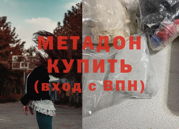 стаф Алзамай