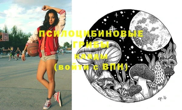 стаф Алзамай