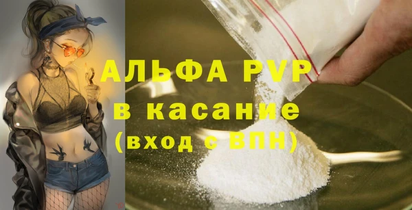 стаф Алзамай