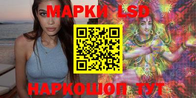 шишки Донской