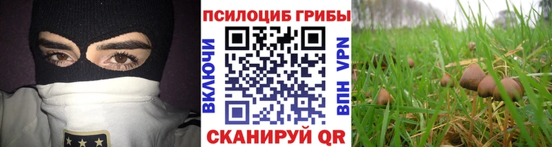 Галлюциногенные грибы Cubensis ОМГ ОМГ зеркало Нижний Тагил
